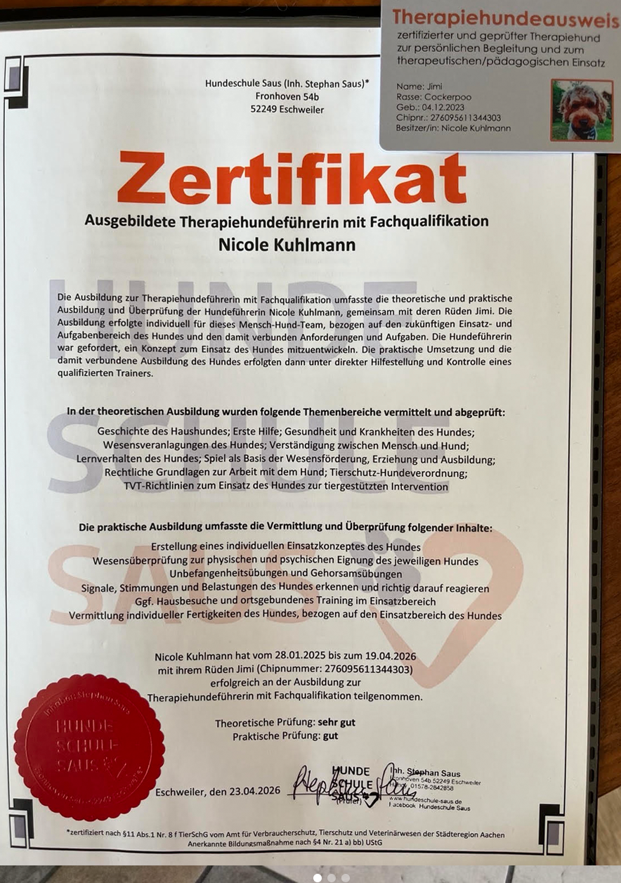zertifikat-thera